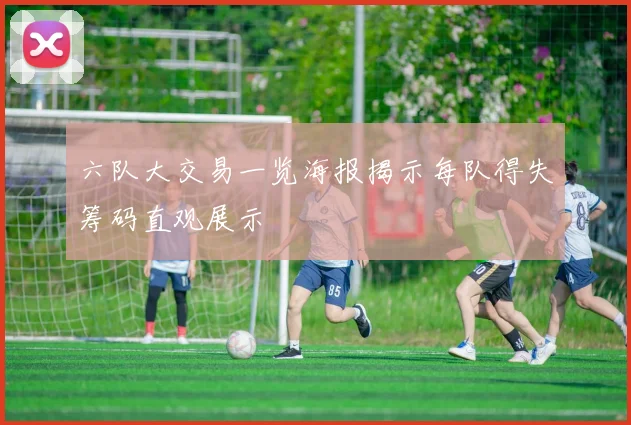 六队大交易一览海报揭示每队得失筹码直观展示